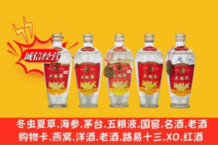 苏州市姑苏回收老五粮液